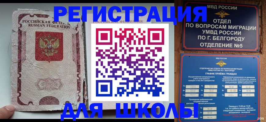 прописка гарантия в Волжске